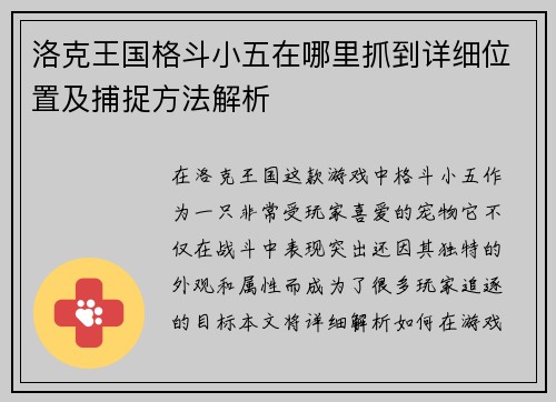 洛克王国格斗小五在哪里抓到详细位置及捕捉方法解析